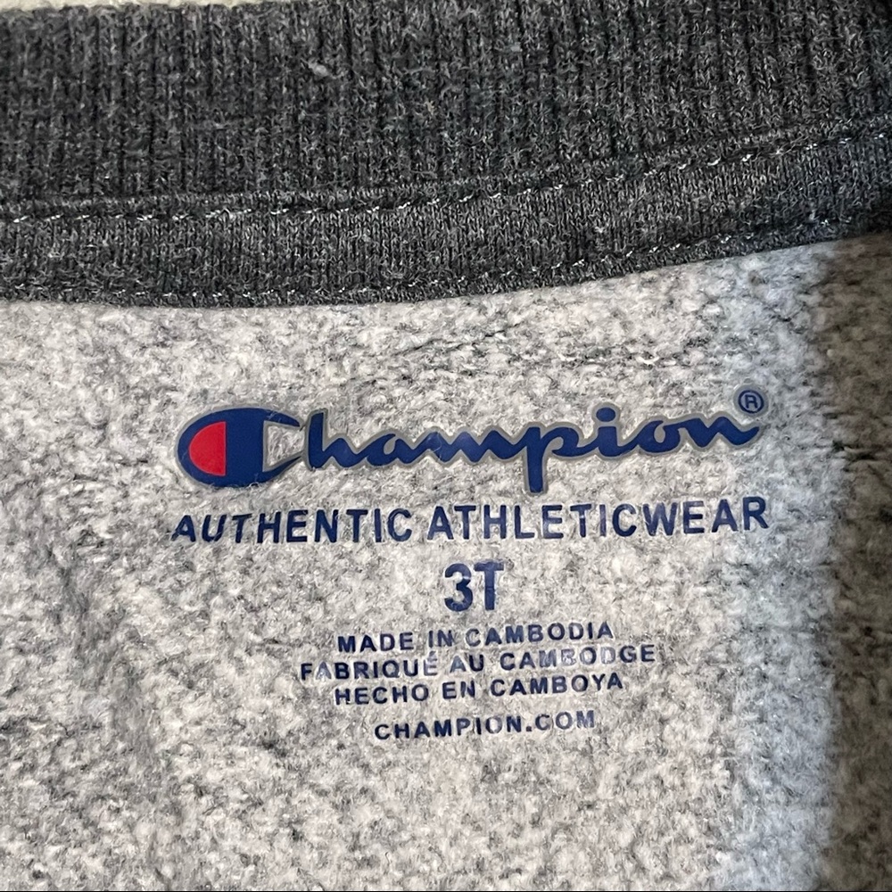 Champion Crewneck Sweatshirt - Picture 7 of 8